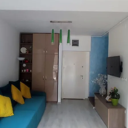 Duplex Belle View Sinaia-free Parking Apartment