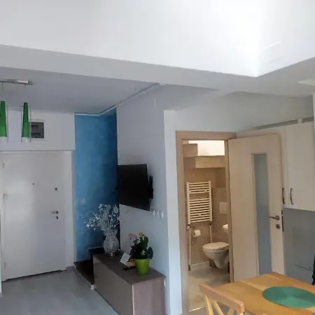 Duplex Belle View Sinaia-free Parking Apartment