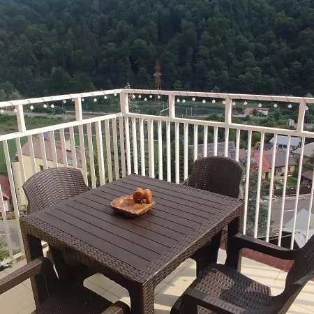 Duplex Belle View Sinaia-free Parking *