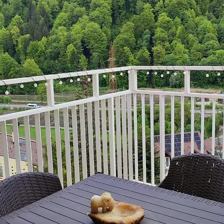 Duplex Belle View Sinaia-free Parking *
