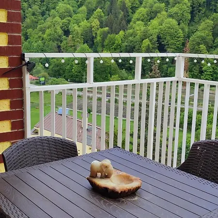Apartment Duplex Belle View Sinaia-free Parking Sinaia