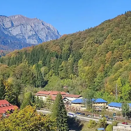 Duplex Belle View Sinaia-free Parking Apartment
