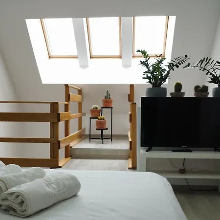 Duplex Belle View Sinaia-free Parking Apartment